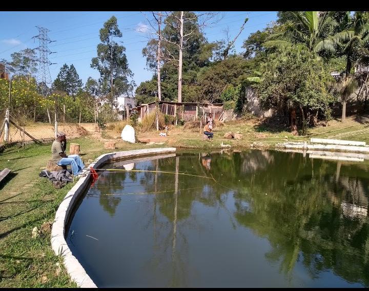 Pesqueiros em Embu-Guaçu - SP - Pesca & Pesqueiros!